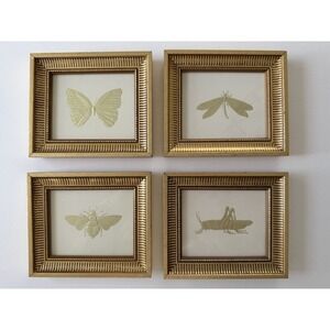 2005 "Bugs of Gold" Embossed Insect Prints – Kevin Lahvic – Gold Frames - Pier 1